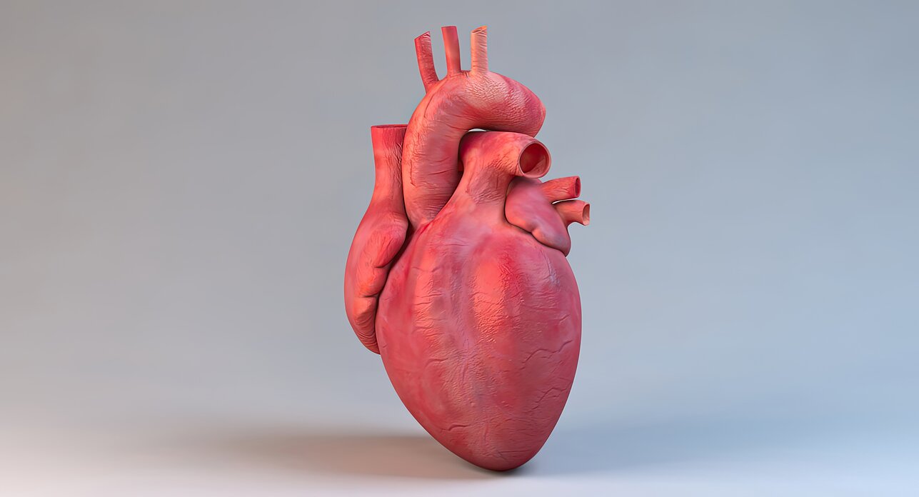 Širdis, asociatyvi iliustracija