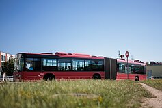 Incidentas Pilaitės rajone