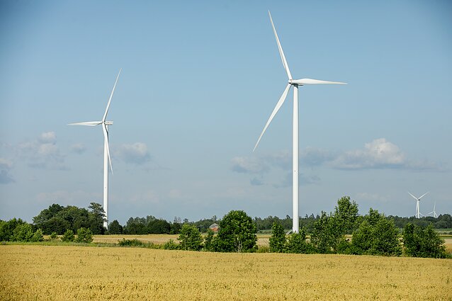 Vėjo parko projektui – kliūtys: Kretinga nepasirašys, kol negalės pretenduoti į išmokas