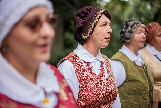 Dainų šventė. Folkloro diena