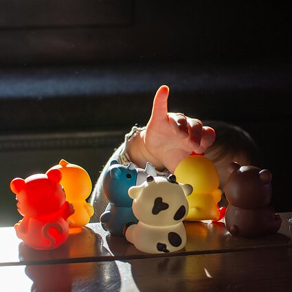 LRT ieško sprendimų: Lietuvoje populiarėja blusturgiai ir atiduotuvės