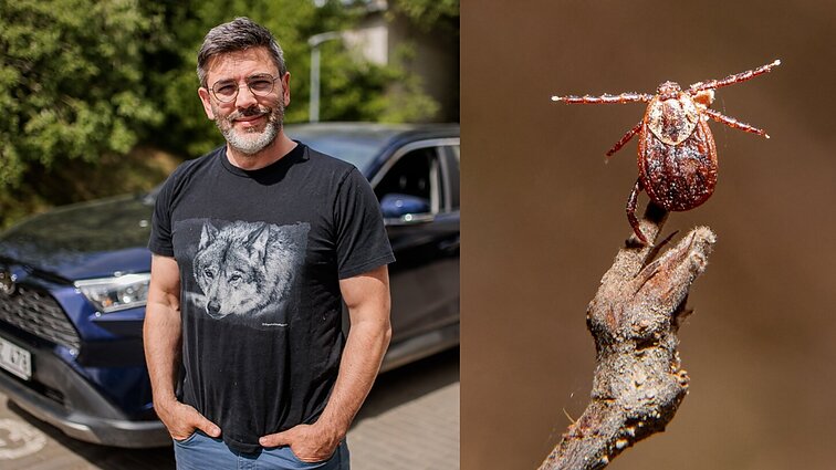 Čepulis tikina – prasmės išpurkšti erkių pievoje nėra: gamta pati puikiai susitvarko