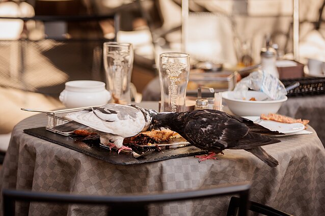 Cafe (associative image)