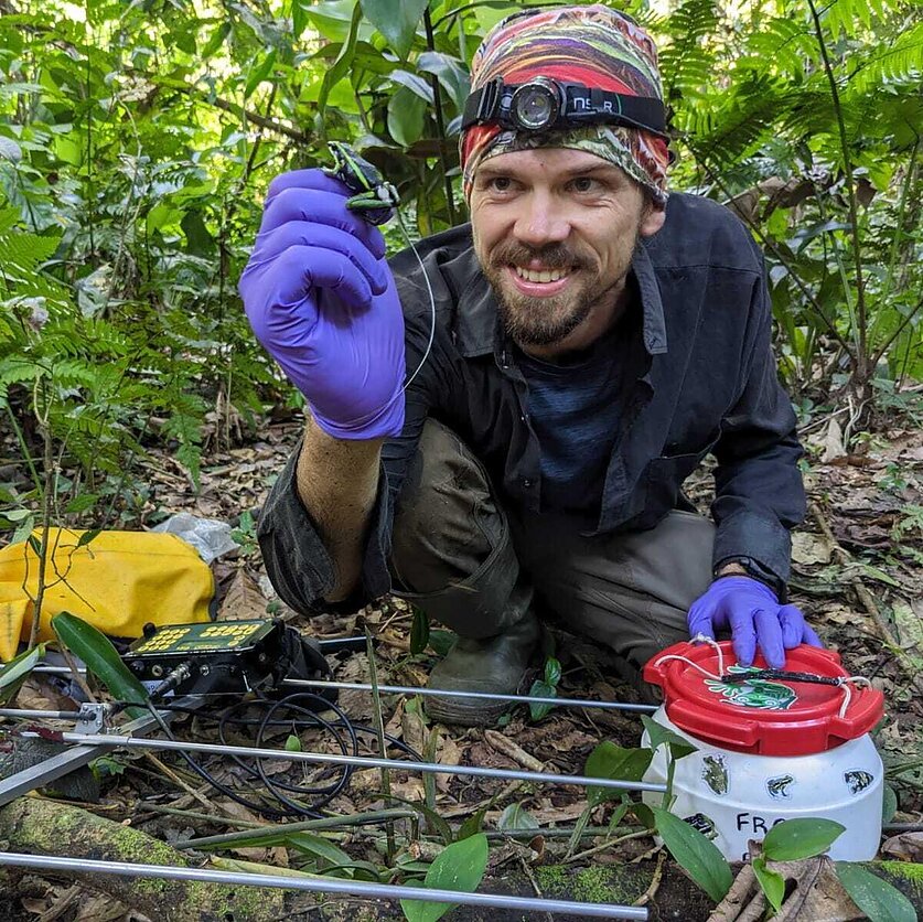 A. Pašukonio nuotr., Varliagyvius tiriantis A. Pašukonis: tai sparčiausiai nykstanti gyvūnų grupė