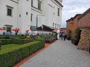 Dabartinis Bonos sodo (Valdovų rūmų kavinės) vaizdas Dabartinis Bonos sodo (Valdovų rūmų kavinės) vaizdas
