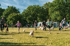 „Bliuzo naktų“ akimirka