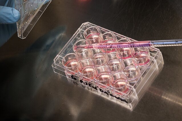 Maistas ne tik iš gamtos: kviečia pasidairyti po ateities maistą kuriančias laboratorijas