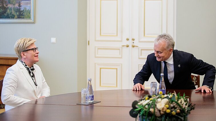 Ekspertas apie vyriausybę po inauguracijos: Nausėdai iš derybų reikia išeiti nugalėtoju