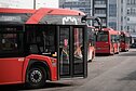 Autobusai