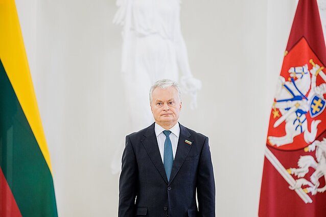 Politologas įvertino, ko tikėtis iš Nausėdos: matosi noras ne telkti, o demonstruoti galią