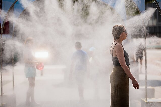 Klimatologas: šio amžiaus viduryje Lietuvoje jau galima tikėtis ir 40 laipsnių karščio