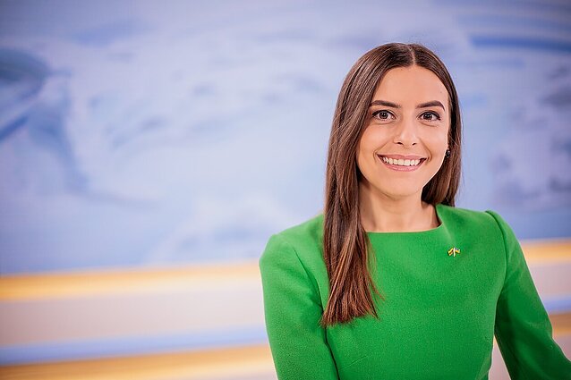 Panorama (su vertimu į gestų k.)