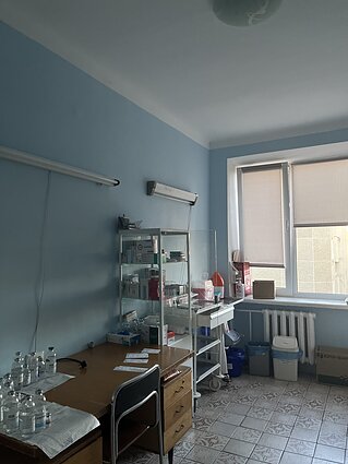 Agnės Židelevičiūtės savanorystė Ukrainoje