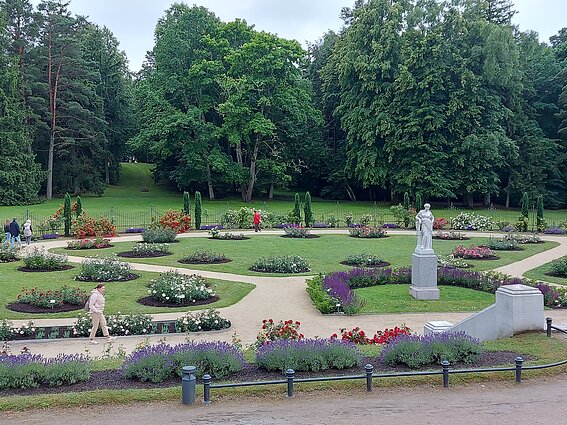 Ogród różany w Pałacu Tyszkiewiczów w Połądze