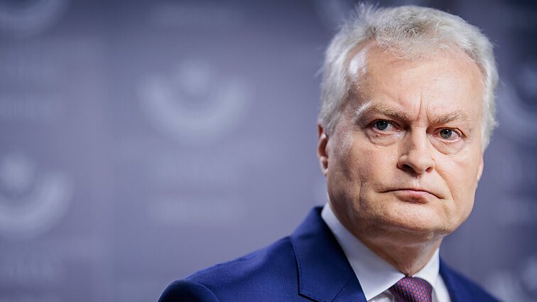 Dulkio darbui kritikos negalėjęs Nausėda: problemas mato visi, išskyrus jį