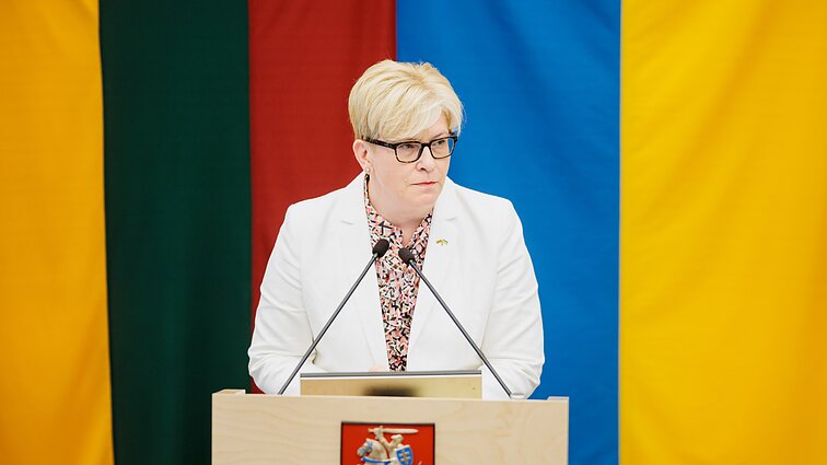 Šimonytės kandidatūros tvirtinimą ritualu vadinanti Burbulytė: visi yra susitaikę