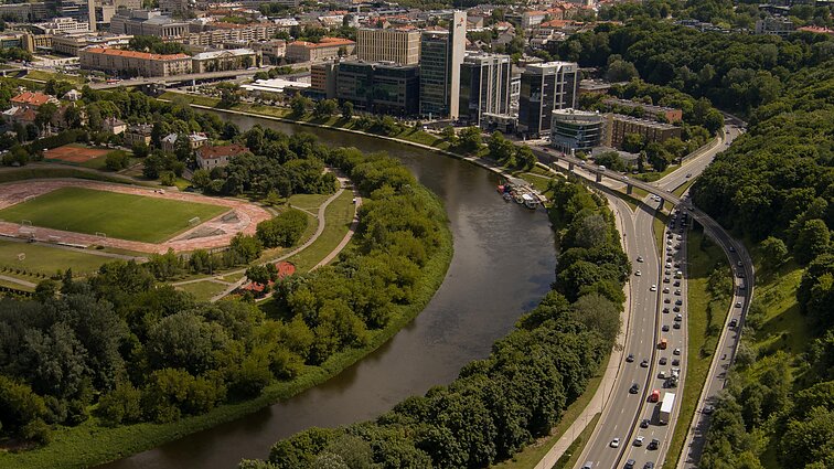Poškutė: jei nekeisim gatvių remonto, Vilniuje žus 70 proc. medžių