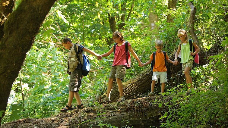 Stovyklų džiaugsmas – ne visiems: kylant kainoms šeimos neišgali išleisti vaikų