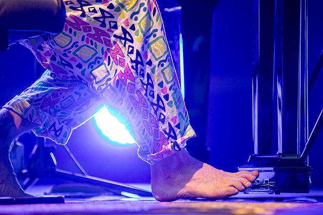 Jacobo Collier koncerto akimirka Jacobo Collier koncerto akimirka