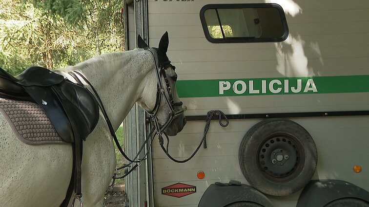 Profsąjunga mano, kad gali būti atsisakyta raitosios policijos: departamentas tai neigia