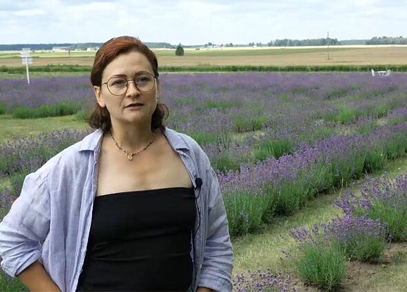 Giedrė Jankūnienė levandų ūkyje