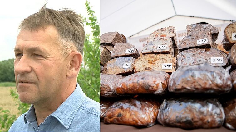 Gamtos stichijos talžo ir ūkininkų pinigines: „grūdų kokybė nėra įspūdinga, bet duonos bus“