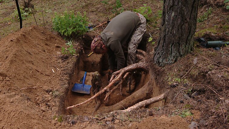 Merkinėje zuja archeologai – atkasami partizano palaikai