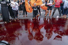 Protestas už Palestiną Vašingtone