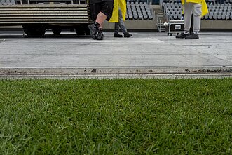 E. Sheerano koncertui ruošiamas Dariaus ir Girėno stadionas