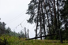 Audra pažeidė elektros tinklus Audra pažeidė elektros tinklus