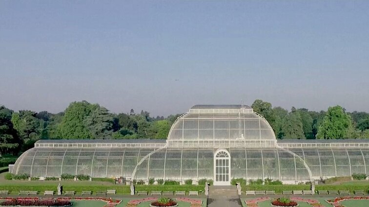 Karališkųjų sodų botanikai skelbia naują ataskaitą su grėsmingomis prognozėmis