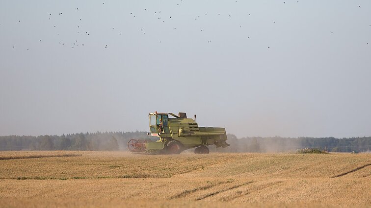 Audros nuostoliai pasėliams gali siekti 150 mln. eurų: ar žemdirbiai sulauks kompensacijų?