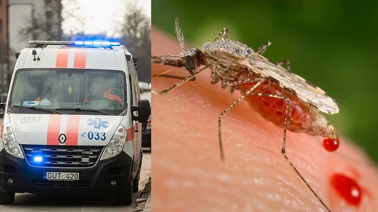 Lietuvai – pavojingų infekcijų grėsmė: „tokios ligos kaip maliarija gali ateit ir pas mus“