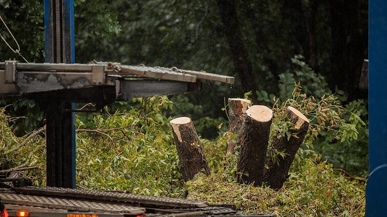 Vyksta audros padarinių atstatymo darbai: elektra bus atkuriama etapais