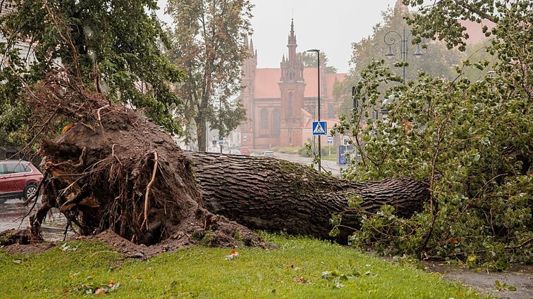 Dalis vartotojų be elektros bus beveik savaitę: kai kurie galės gauti kompensaciją
