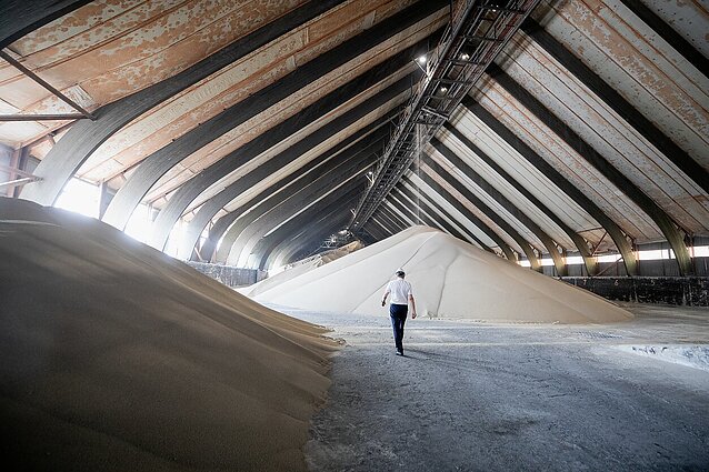 „Reiktų 3,8 planetų lietuviškam gyvenimui išlaikyti“: pasiektas šiųmetis resursų deficitas