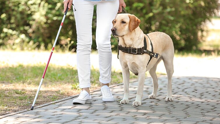 Neregiai jaučiasi pamiršti: sėkmės istorijų yra žymiai mažiau, nei žmonių, sėdinčių namuose