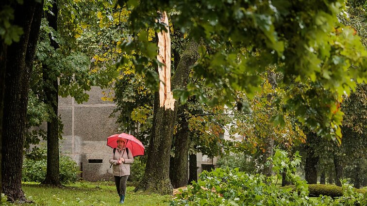 Ekspertas apie audros pamokas: valstybė neturi pasirūpinti visais kaip mažais vaikais