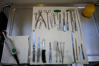 Autopsijai naudojami įrankiai