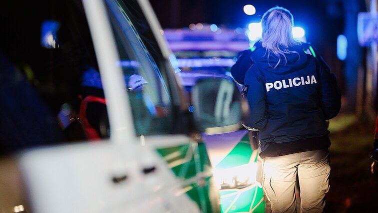 Ne 15-ai dienų, o 3 metams: siūloma iš smurtautojų šeimoje atimti ginklą ilgesniam laikui