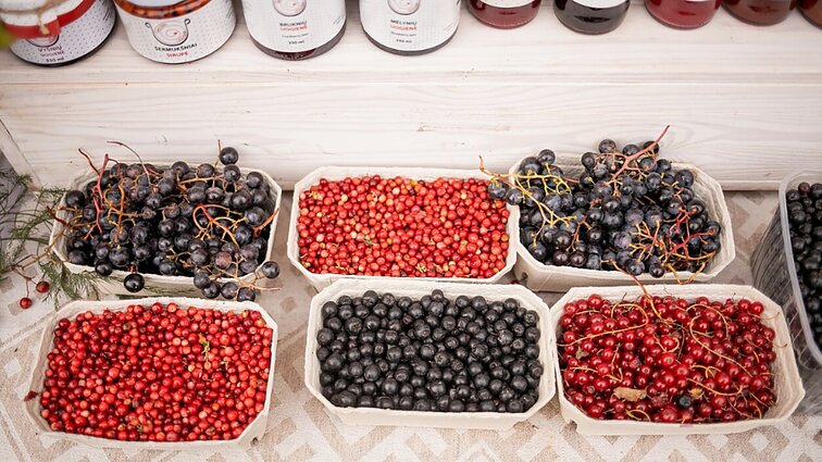 Uogauja turguose: šiemet miško uogų derlius prastas – trūksta rinkėjų