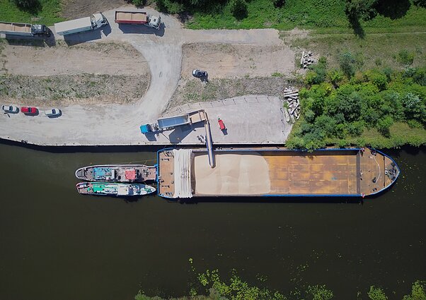 Grain transported by the river Nemunas