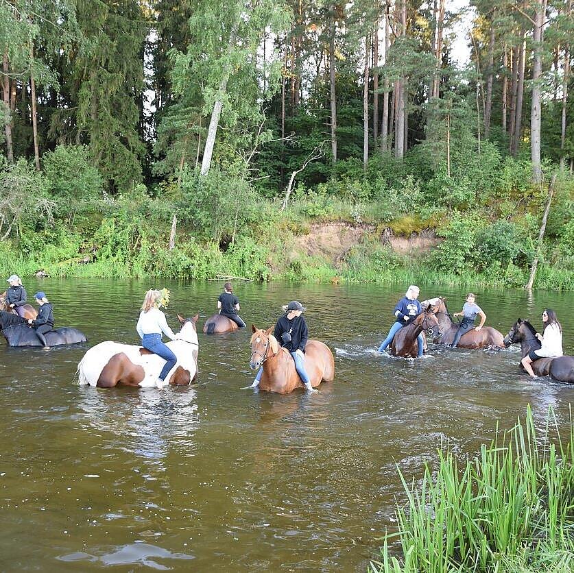 Naktigonė / Rengėjų archyvo nuotr., Naktigonė / Rengėjų archyvo nuotr.