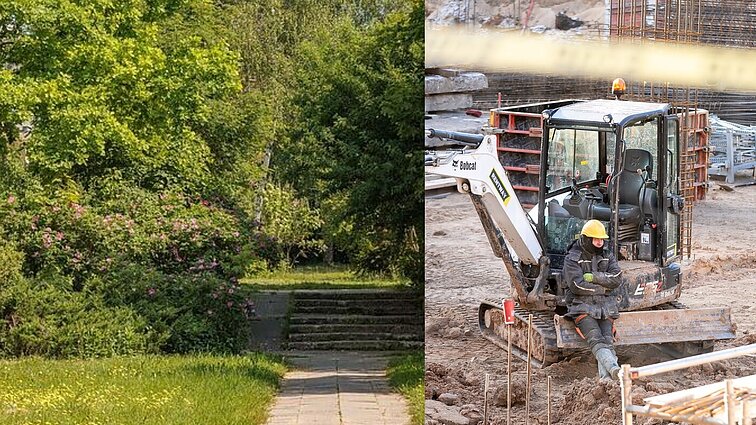 „Retas žinojo, kad ten kažkas vyks“: vilniečiai įpykę – dėl statybų šalia neliks 80 medžių