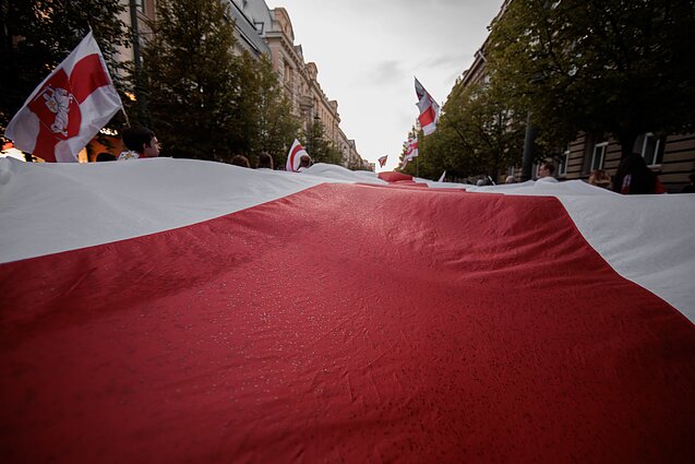 Протест белорусов в Вильнюсе (ассоциативное) Протест белорусов в Вильнюсе (ассоциативное)