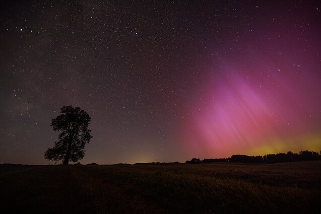Perseids