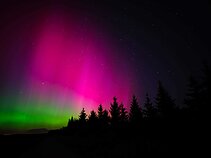 Northern Lights