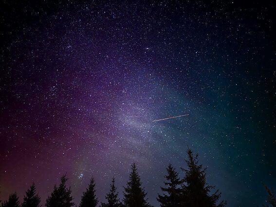 Perseids