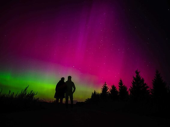 Northern Lights