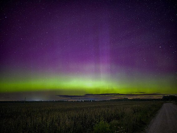 Northern Lights